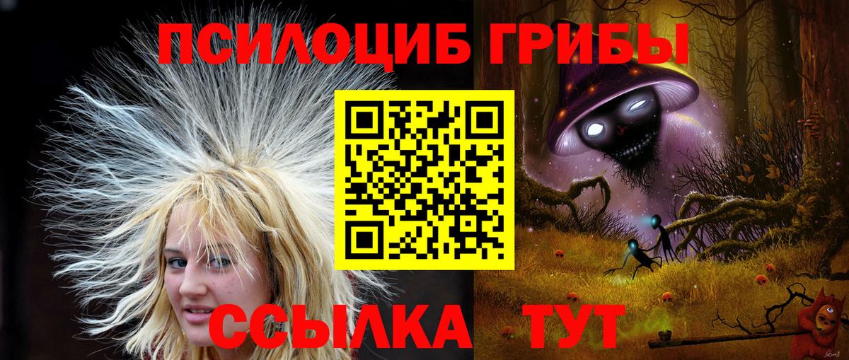 Галлюциногенные грибы мицелий  как найти   Галлюциногенные грибы ЛСД  Гусиноозёрск  Вход с VPN 