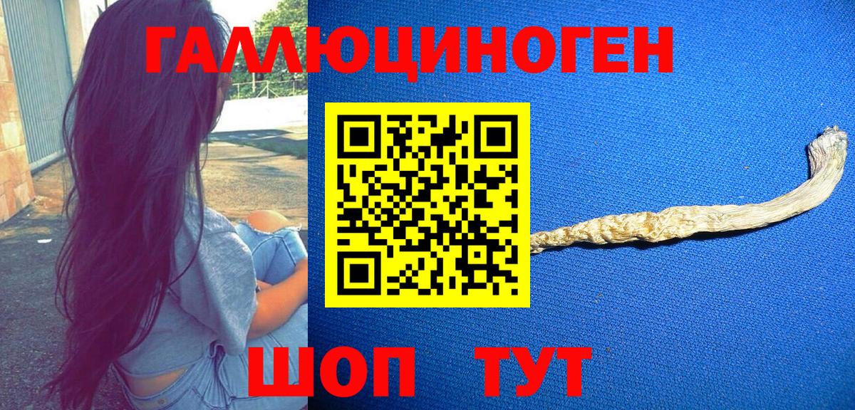 Галлюциногенные грибы мицелий Гусиноозёрск