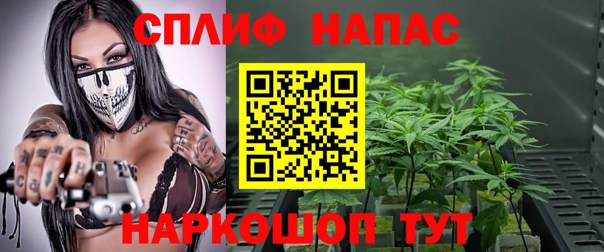 Гусиноозёрск  Бошки Шишки семена  Марихуана планчик  Вход с VPN  Бошки Шишки LSD WEED  Бошки Шишки OG Kush 